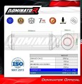 complete exhaust system with muffler DOMINATOR Full System OV G2 fits to Honda NSS 125 FORZA 2017  2020 6