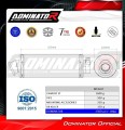 Auspuff Schalldämpfer DOMINATOR rund passend für CF MOTO C Force 850 Touring 2024  5