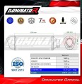 complete exhaust system with muffler DOMINATOR Full System titanium HP6 fits to Honda CB 1000 Hornet / SP 2025  7