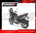 Auspuff Schalldämpfer DOMINATOR OV passend für BMW F650GS 2004  2007 4