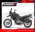 Auspuff Schalldämpfer DOMINATOR OV passend für BMW F650GS 2004  2007 5