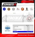Auspuff Schalldämpfer DOMINATOR OV passend für BMW F650GS 2004  2007 6