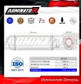 Auspuff Schalldämpfer DOMINATOR Titan HP6 passend für Honda CB 750 Hornet 2023  5