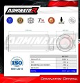 Auspuff Schalldämpfer DOMINATOR GP passend für Husqvarna Svartpilen 401 2020  2023 2