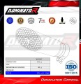 Auspuff Schalldämpfer DOMINATOR Titan GP3 passend für BMW S1000RR 2019  2026 5