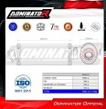 Auspuff Schalldämpfer DOMINATOR homologiert OVAL passend für GSF 600 BANDIT 1995  1999 5