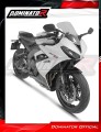 Auspuff Schalldämpfer DOMINATOR Titan HP8 passend für Triumph Daytona 660 2024  2026 6