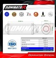 komplette Auspuffanlage mit Schalldämpfer DOMINATOR Full System OV G2 passend für Yamaha YZFR3 2025  2026 6