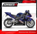 Auspuff Schalldämpfer DOMINATOR GP schwarz passend für Honda CBR 954 2002  2003 6
