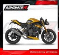 complete exhaust system with muffler DOMINATOR Full System titanium HP6