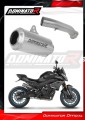 Auspuff Schalldämpfer DOMINATOR GPS passend für das Motorrad CF MOTO 800 NK 2023 2026 1